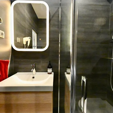 アパート Swidnicka Apartment-city Centre ヴロツワフ